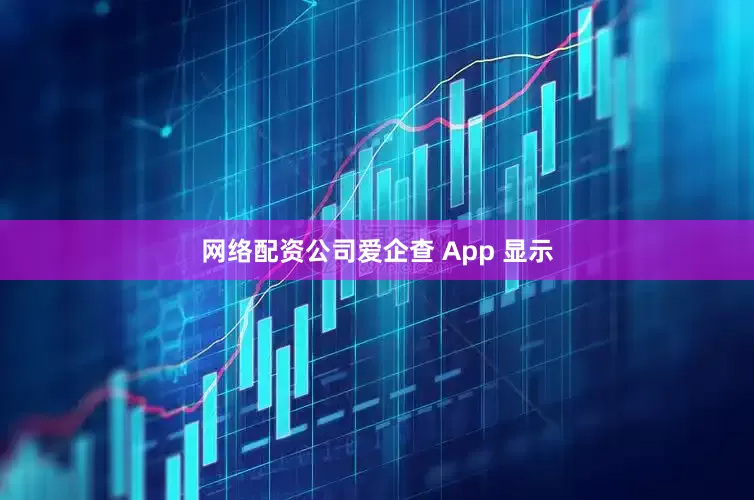 网络配资公司爱企查 App 显示