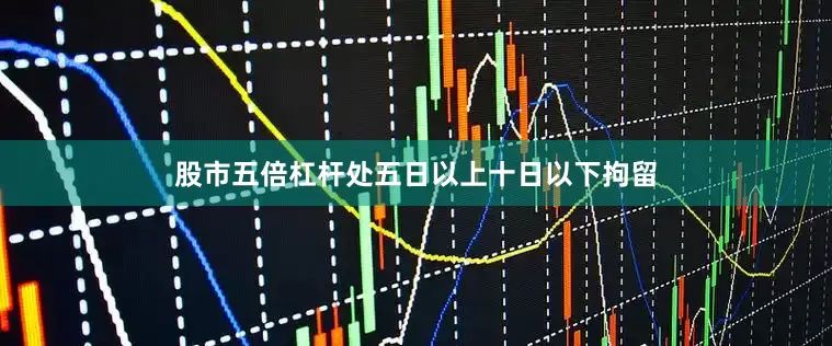 股市五倍杠杆处五日以上十日以下拘留