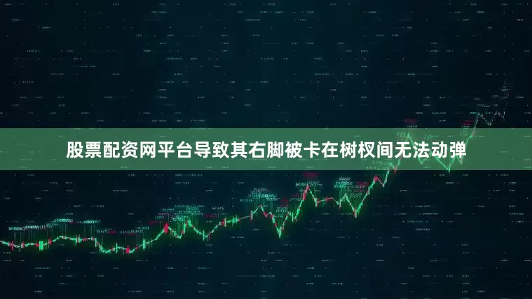股票配资网平台导致其右脚被卡在树杈间无法动弹