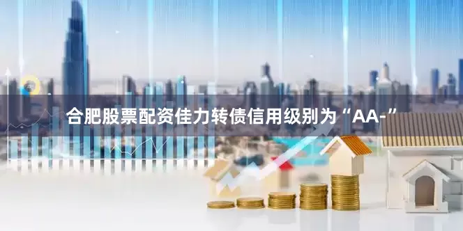 合肥股票配资佳力转债信用级别为“AA-”