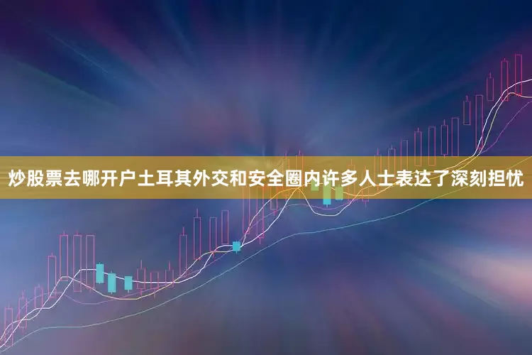 炒股票去哪开户土耳其外交和安全圈内许多人士表达了深刻担忧