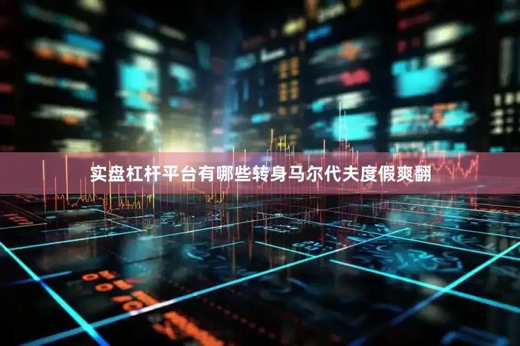实盘杠杆平台有哪些转身马尔代夫度假爽翻