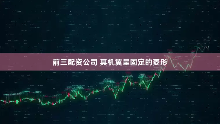 前三配资公司 其机翼呈固定的菱形